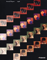 Polaroid Annual Report 1996, Front Cover