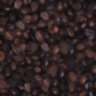 Beans