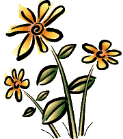 pretty flowers